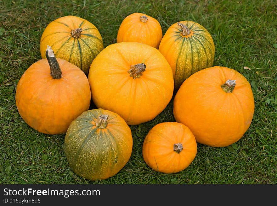 Pumpkins on the grass - top view