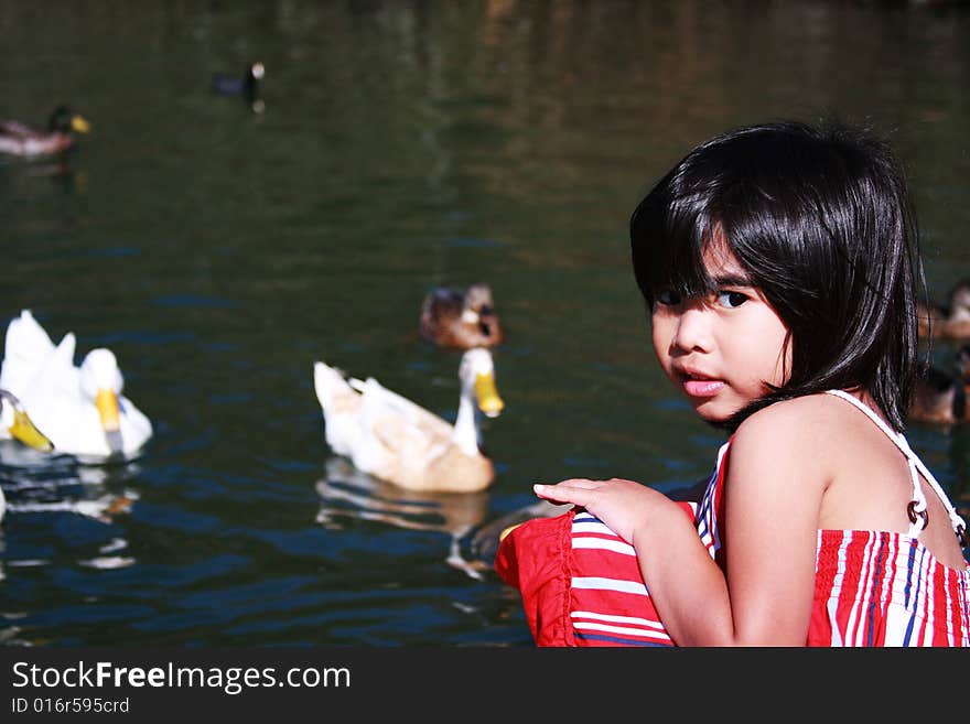 Little girl playing with ducks