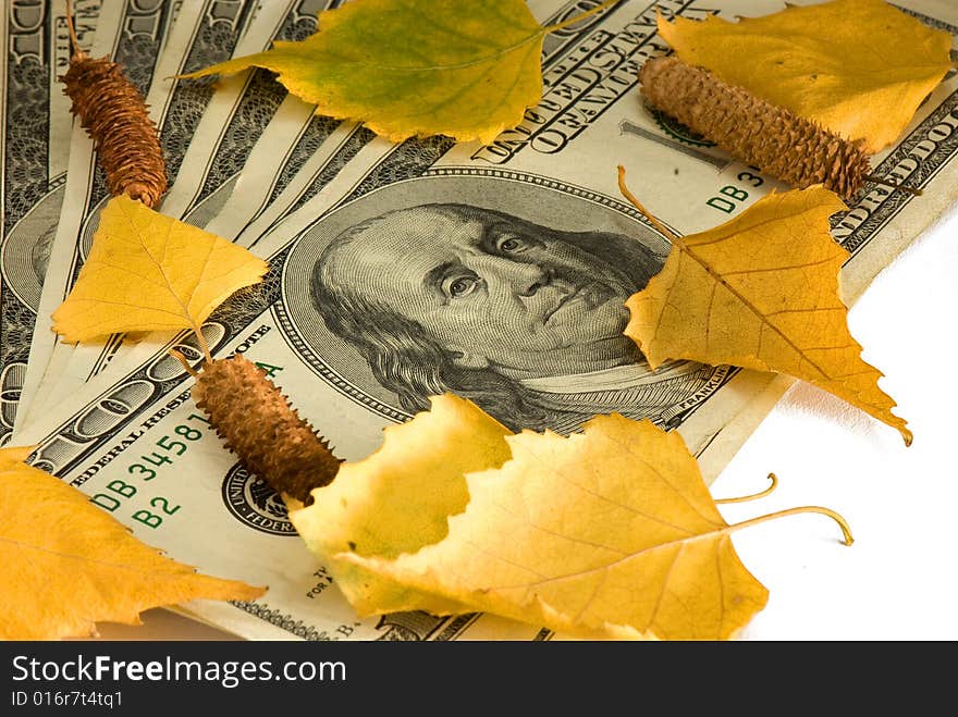 Pack of dollars of the USA and birch leaves on a white background