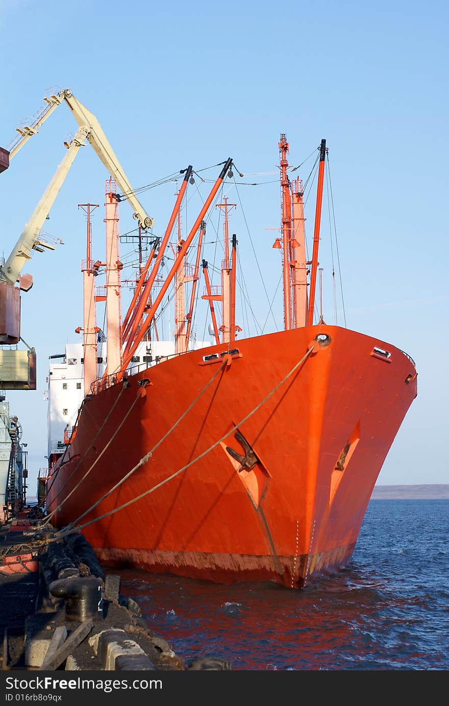 The freight ship in the port. The freight ship in the port