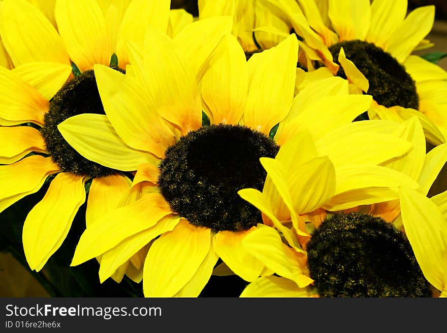 Sunflowers detail