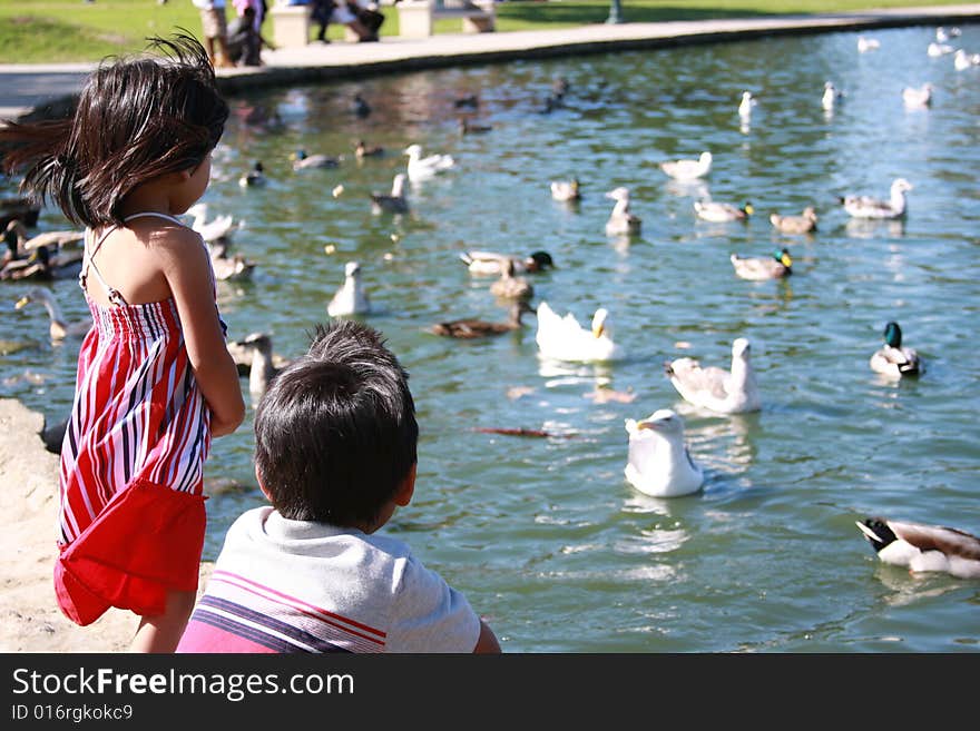 A little girl and boy feeding and playing with the ducks. A little girl and boy feeding and playing with the ducks