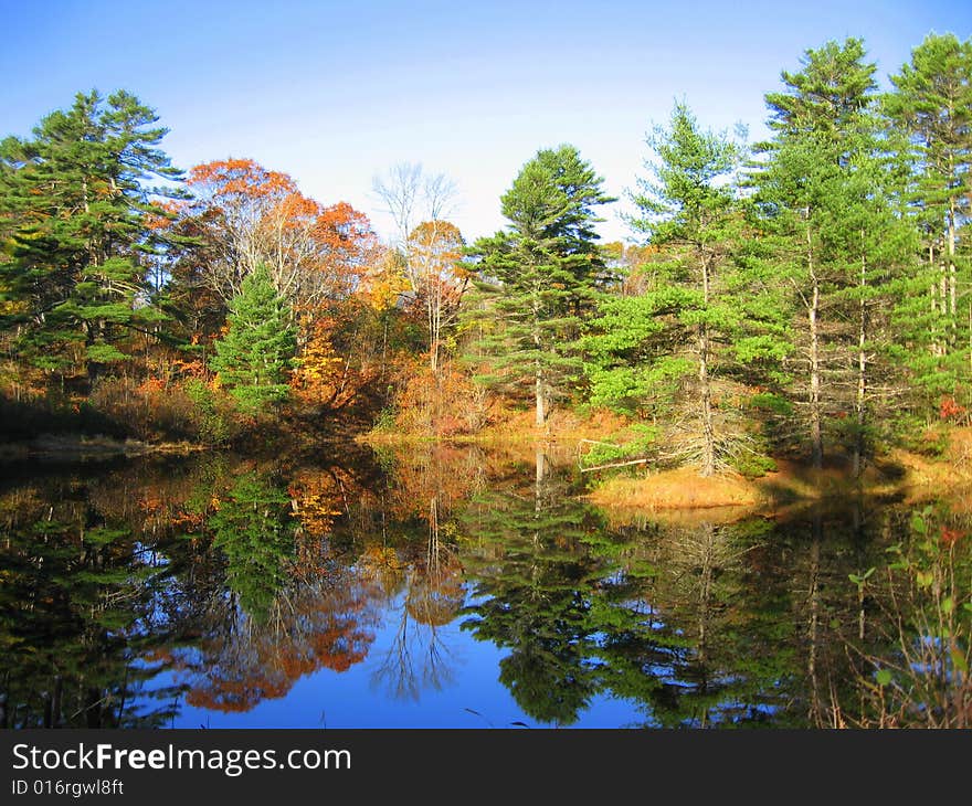 Fall Reflections, Maine