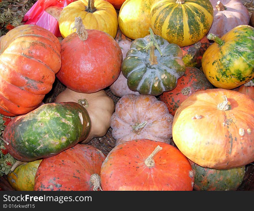 A harvest of pumpkins waiting to be used.