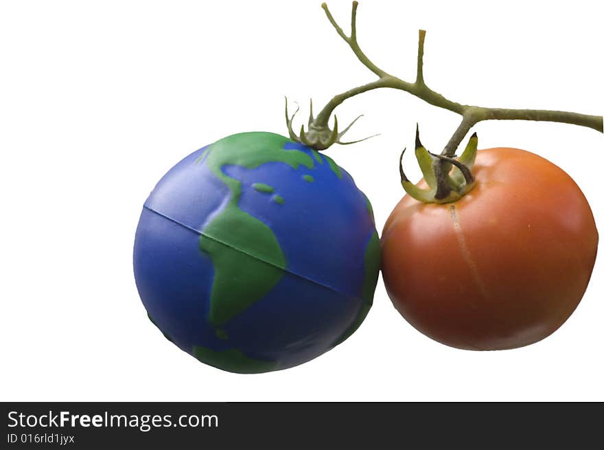 Concept picture with a rubber Earth globe hanging together with a red tomato on a vine, isolated on white. Concept picture with a rubber Earth globe hanging together with a red tomato on a vine, isolated on white.