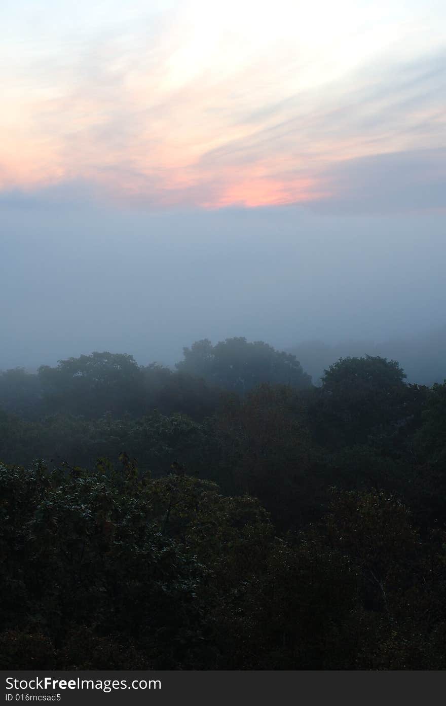 Foggy (hazy) forest and scarlet sunrise.