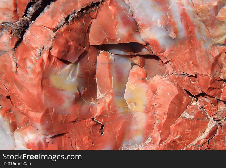 Petrified wood, take at petrified forest national park.