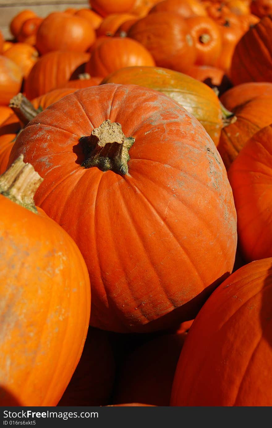 Bunch of pumpkins on a farmers market