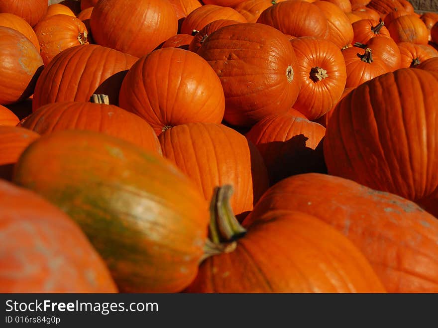 Bunch of pumpkins on a farmers market