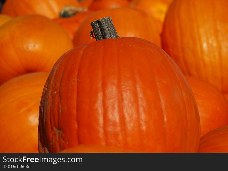 Bunch of pumpkins on a farmers market