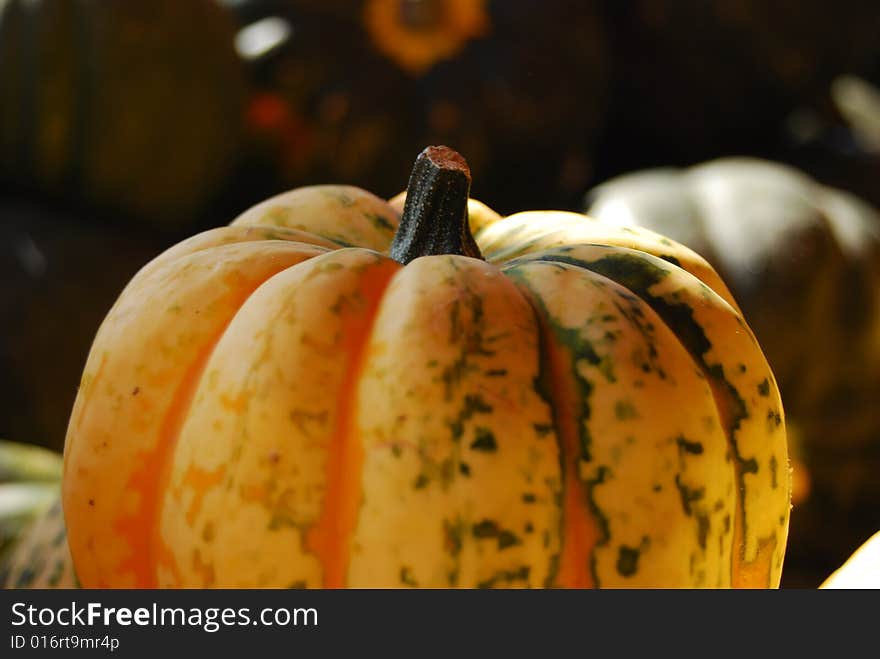 White pumpkin on a farmers market in Vernon. White pumpkin on a farmers market in Vernon