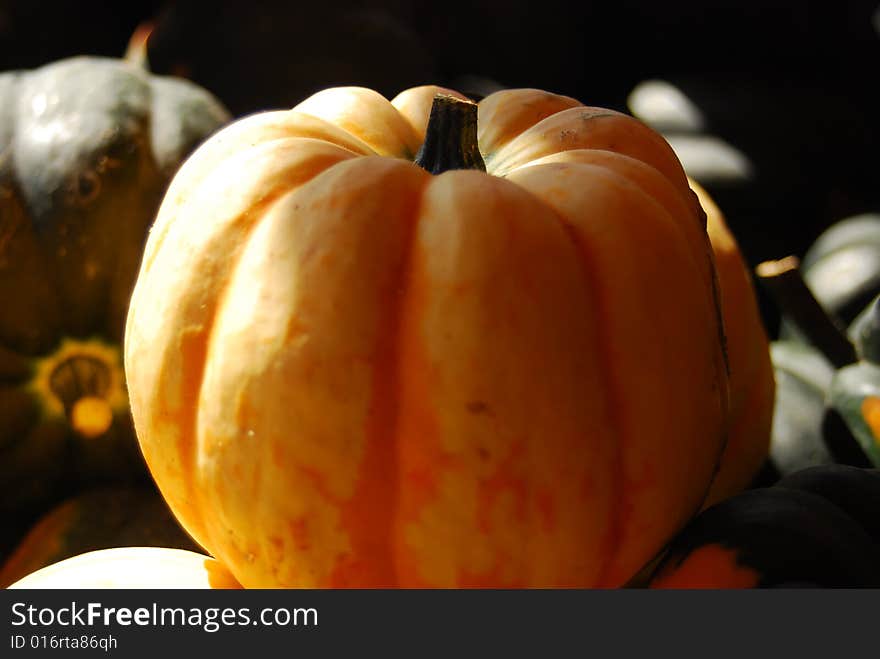 White pumpkin on a farmers market in Vernon. White pumpkin on a farmers market in Vernon