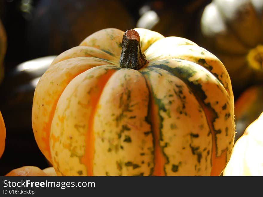 White pumpkin on a farmers market in Vernon. White pumpkin on a farmers market in Vernon