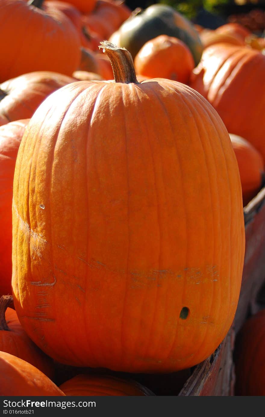 Bunch of pumpkins on a farmers market