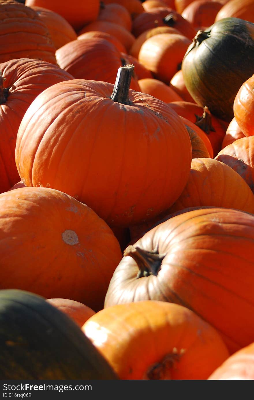 Bunch of pumpkins on a farmers market