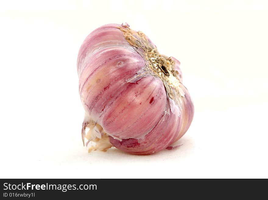 Garlic