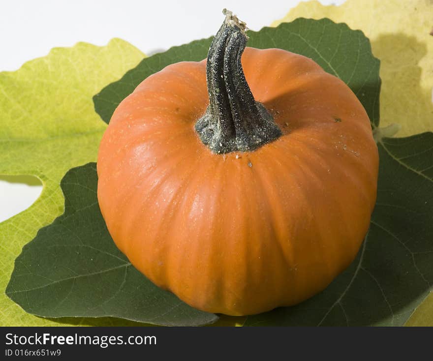 A small pumpkin and fig leaves.