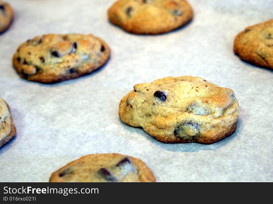 Freshly baked chocolate chip cookies on parchment paper