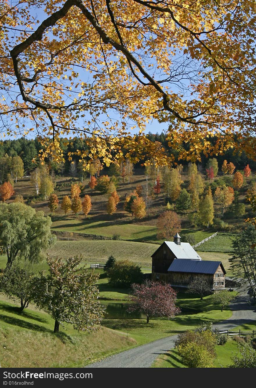 Autumn In New England