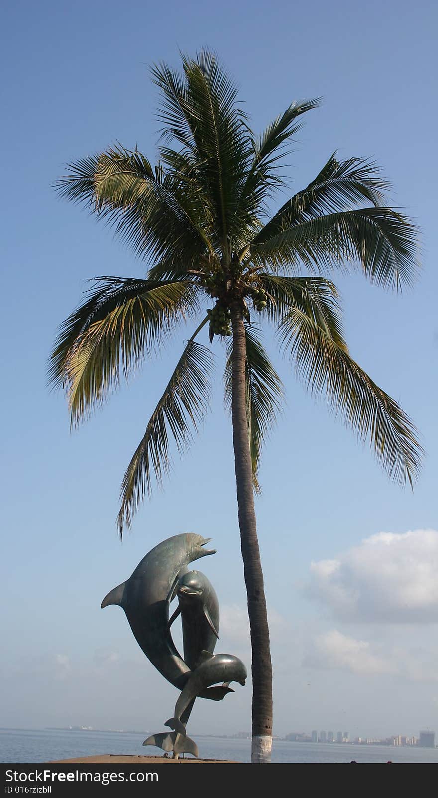 Dolphin Statue And Palm Tree