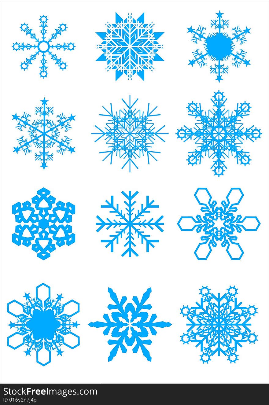 Collection of 12 different snowflakes vector. Collection of 12 different snowflakes vector