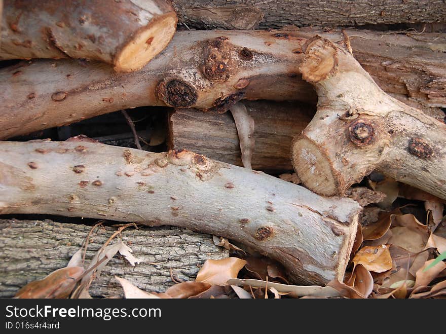 Firewood in a pile