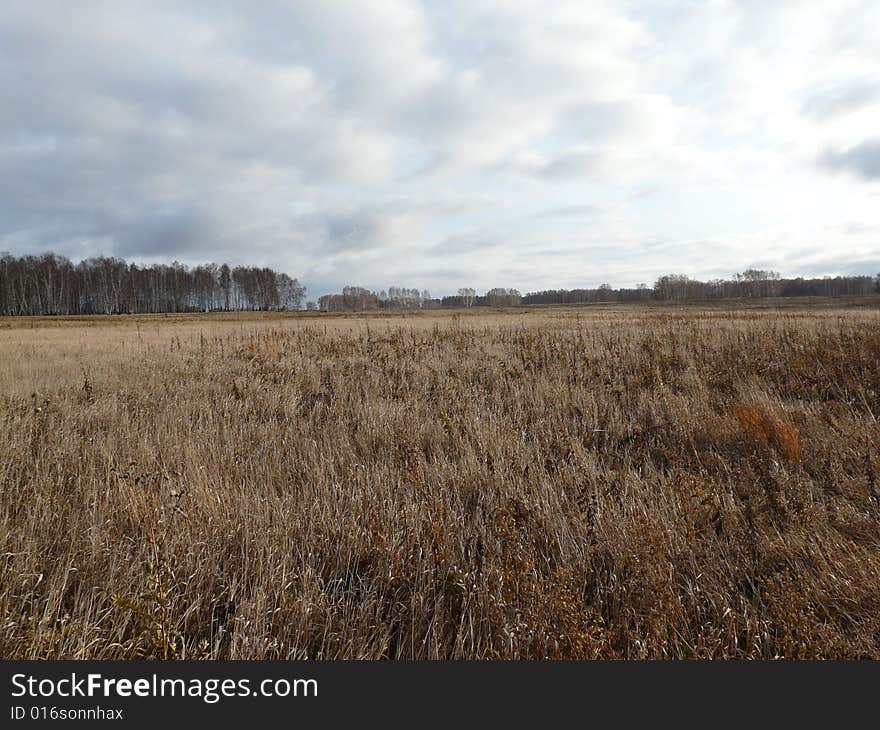 Meadow in Russian глубинке where did not step leg of the person. Meadow in Russian глубинке where did not step leg of the person