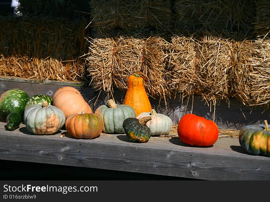 Bunch of Pumpkins