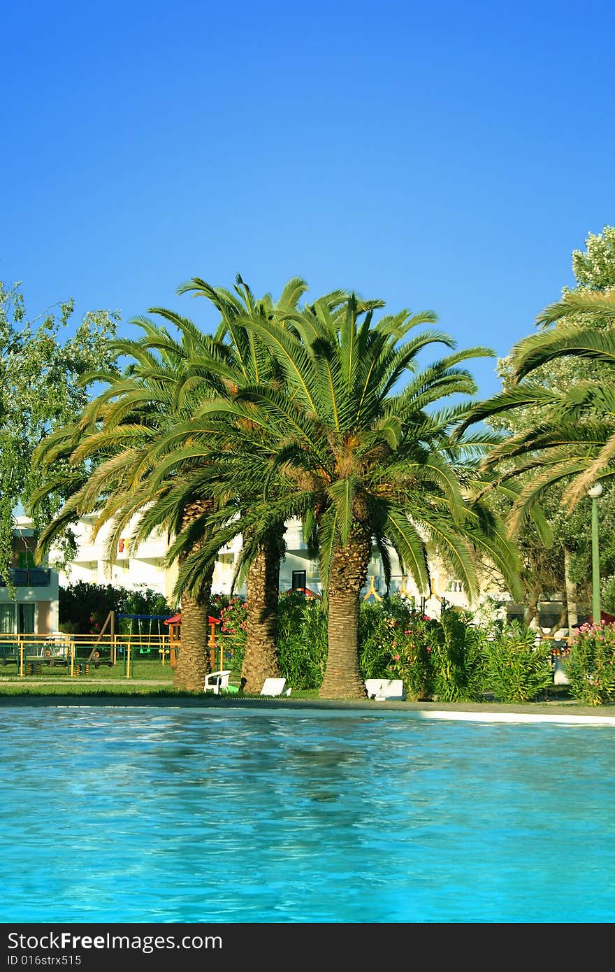 Clear blue water in swimming pool with palms