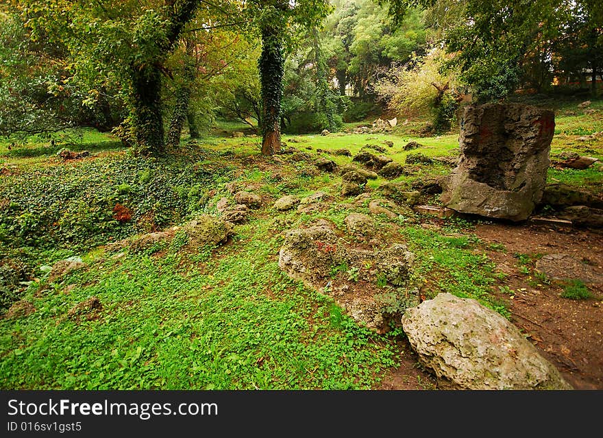 Park In Autumn