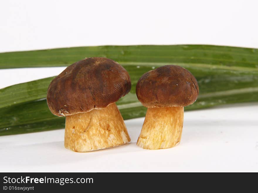 Mushrooms