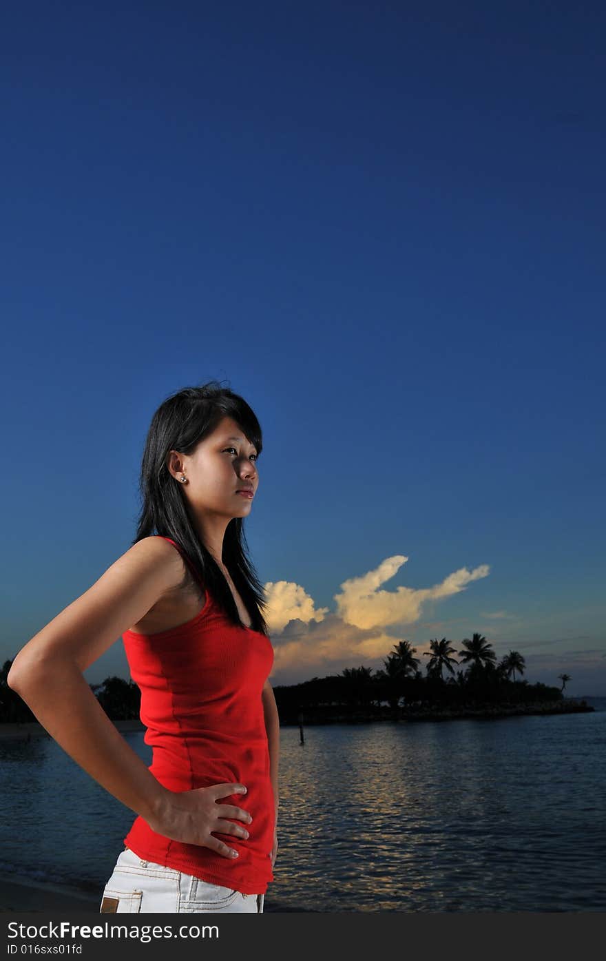 Woman posing at sunset on the beach. Woman posing at sunset on the beach.