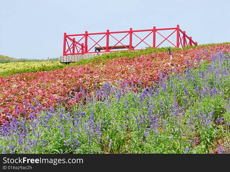 A red viewing stand at the flower garden. A red viewing stand at the flower garden