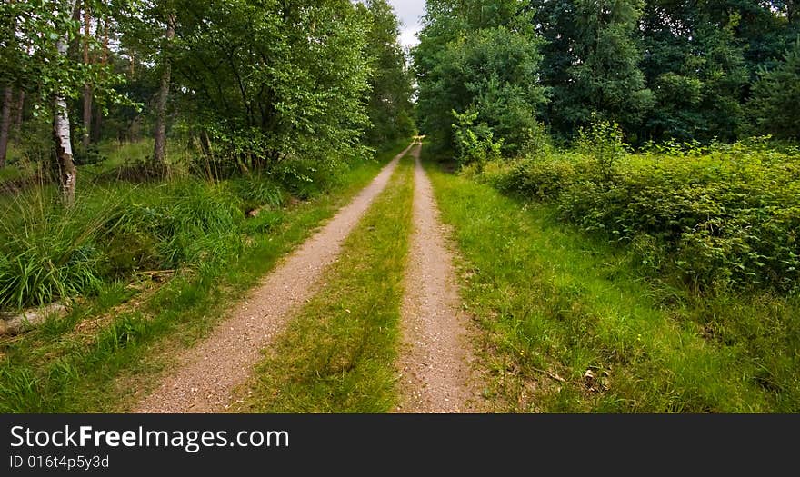 Sandy road