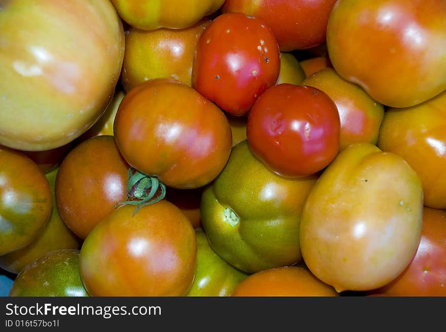 Red and green tomatoes close-up. Red and green tomatoes close-up