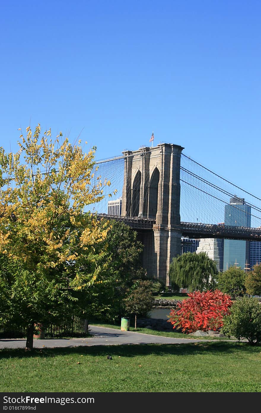 Foliage along the East River. Brooklyn Bridge and Lower Manhattan in the background. Foliage along the East River. Brooklyn Bridge and Lower Manhattan in the background.