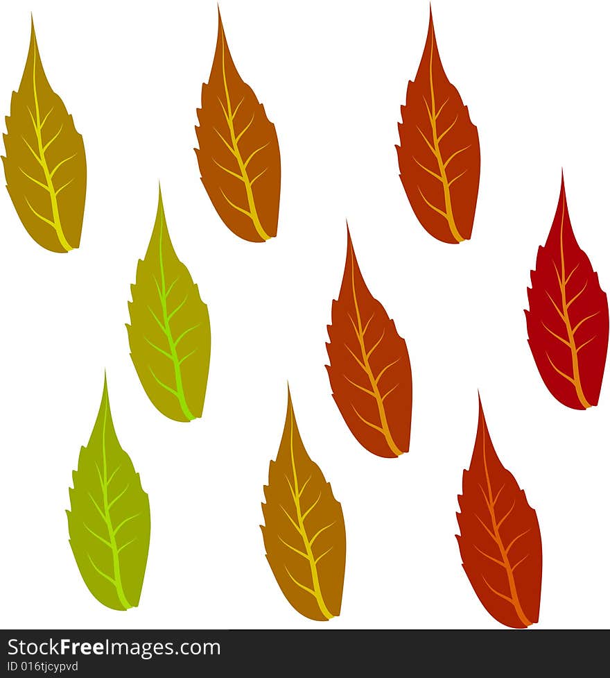 Red and green leaves on white background