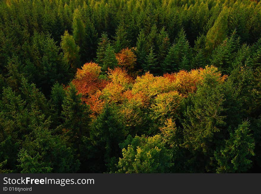 Autumn landscape