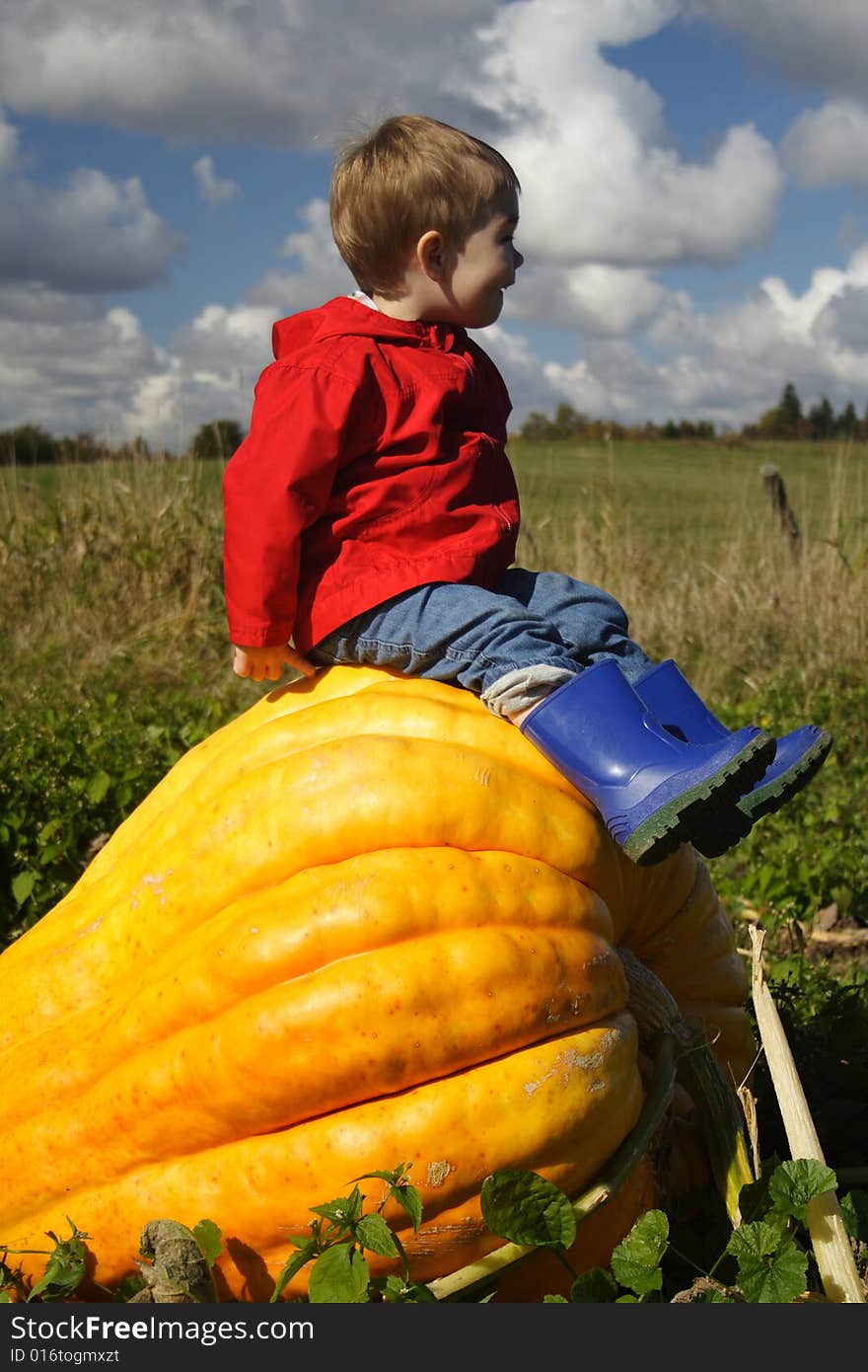 Sitting on a Pumpkin