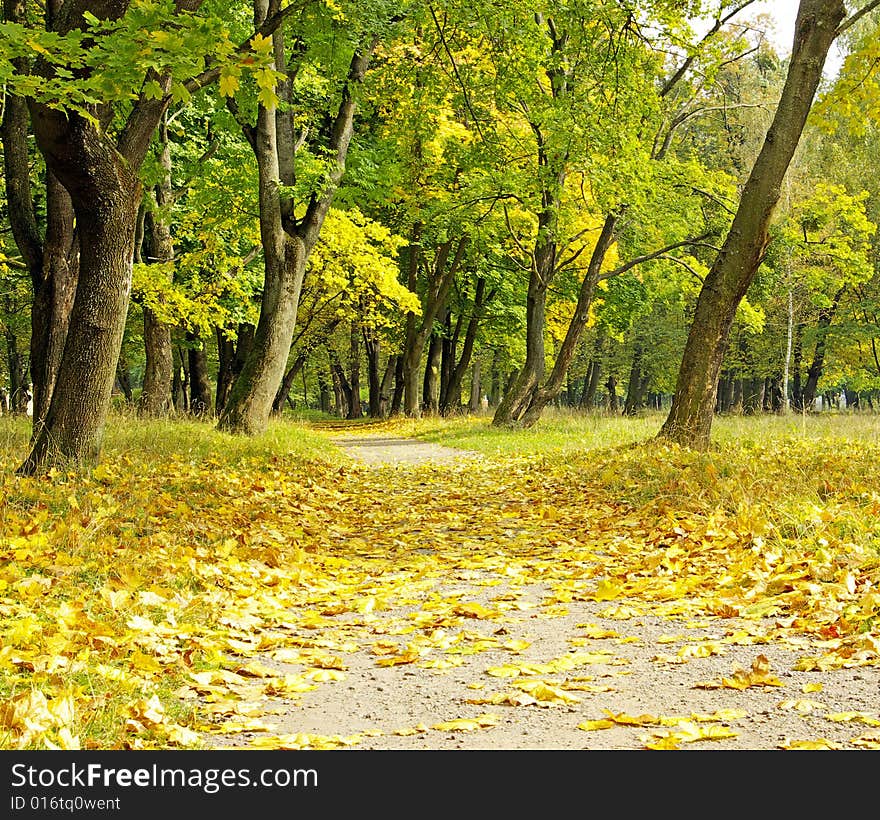 Through park there takes place. Through park there takes place...