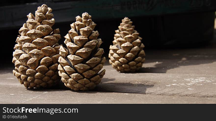 Pine cones