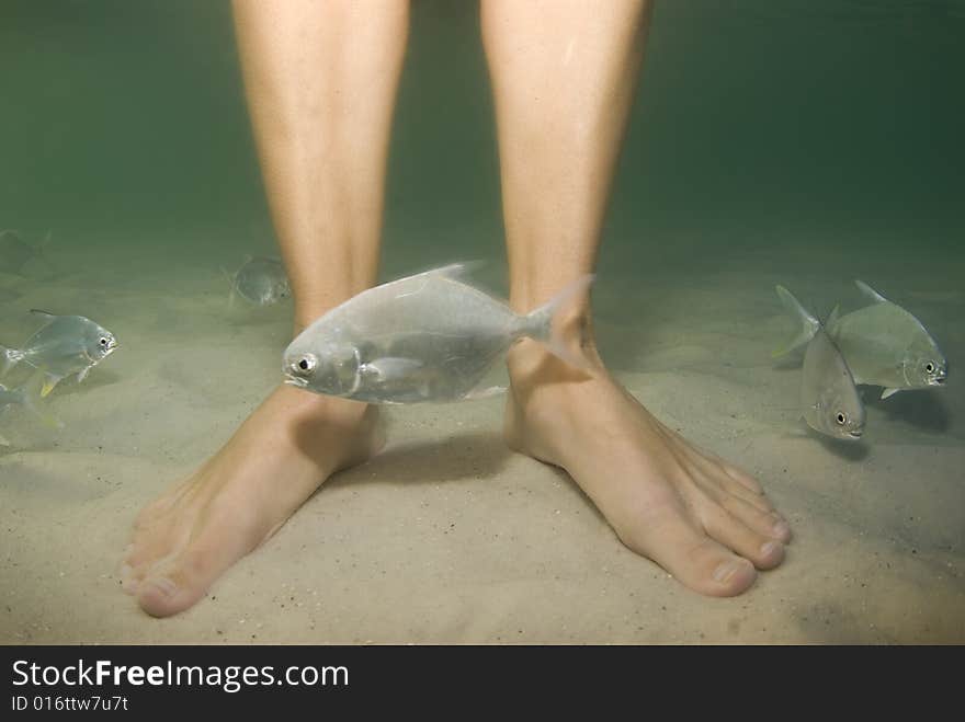 Feet And Fish