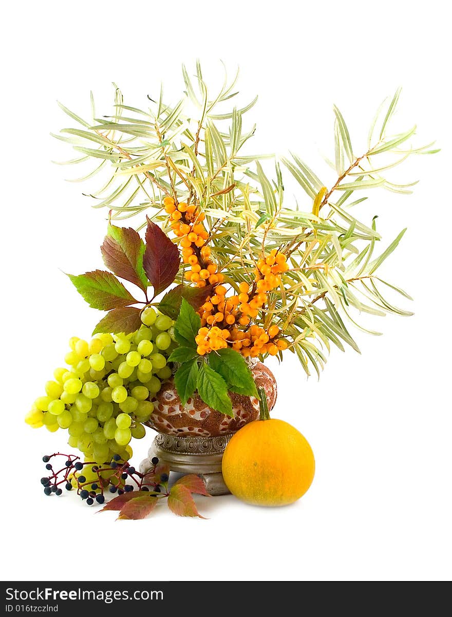 Yellow decorative pumpkin with wild and cultural green grapes in vase on white background. Yellow decorative pumpkin with wild and cultural green grapes in vase on white background