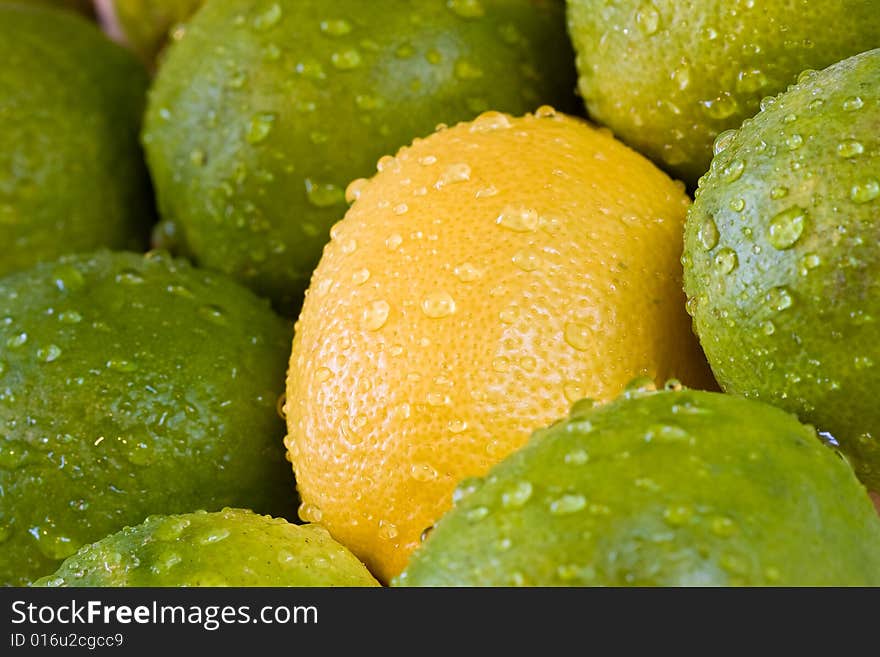 Lemon lime orange fruit set close up and water drops in the set. Lemon lime orange fruit set close up and water drops in the set