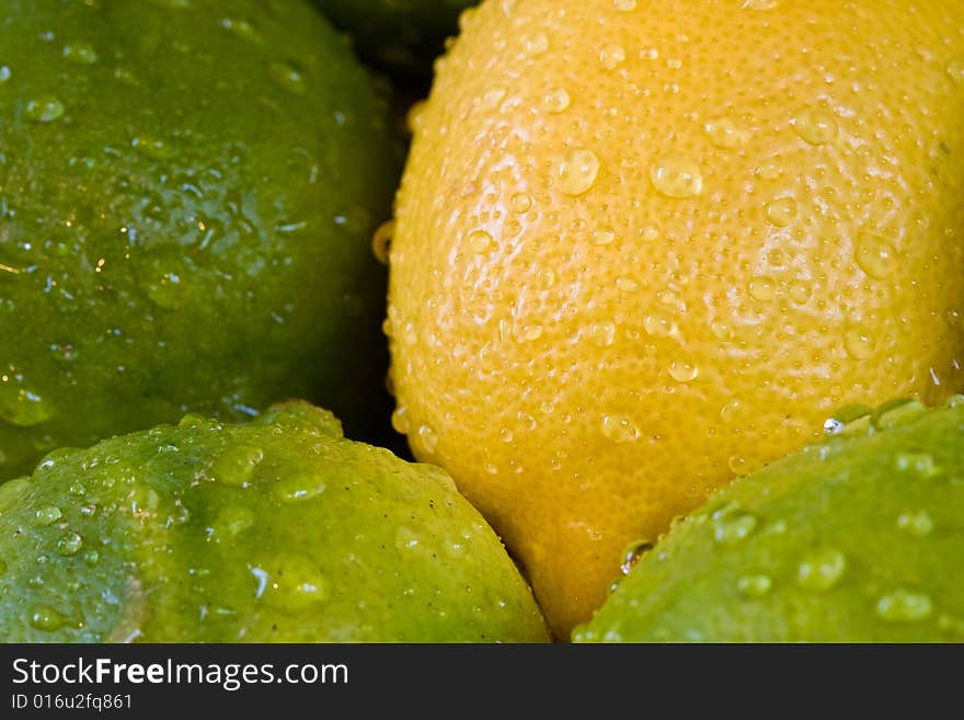 Lemon lime orange fruit set close up and water drops in the set. Lemon lime orange fruit set close up and water drops in the set