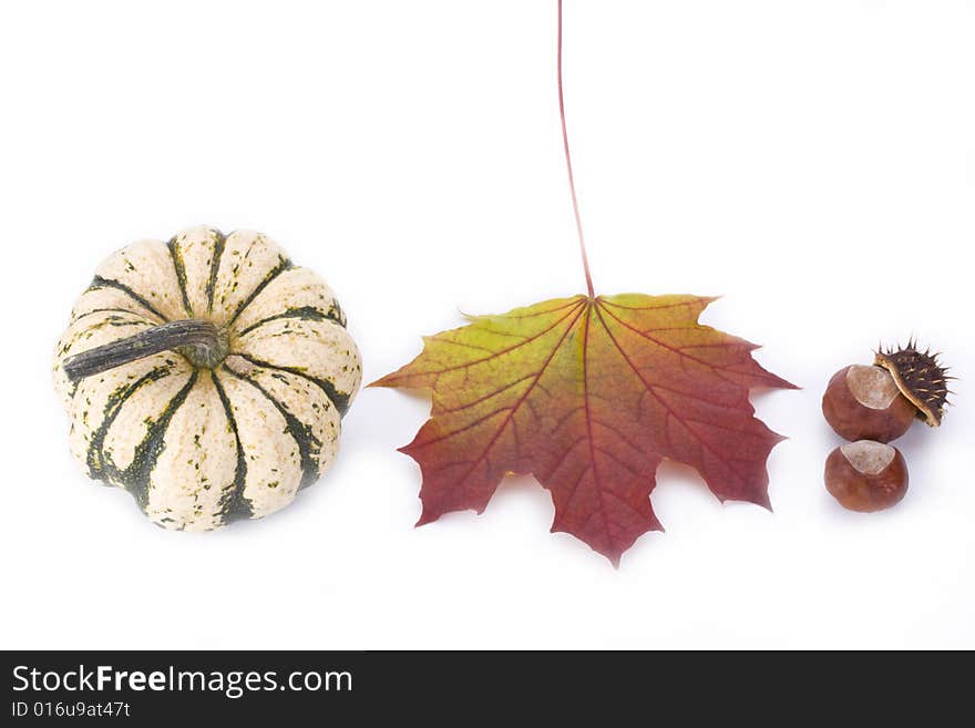 Pumpkin, maple leaf and chestnut on white background. Pumpkin, maple leaf and chestnut on white background