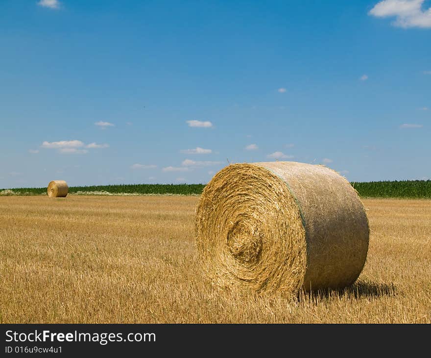 Rural landscape with straw rolls and blue sky