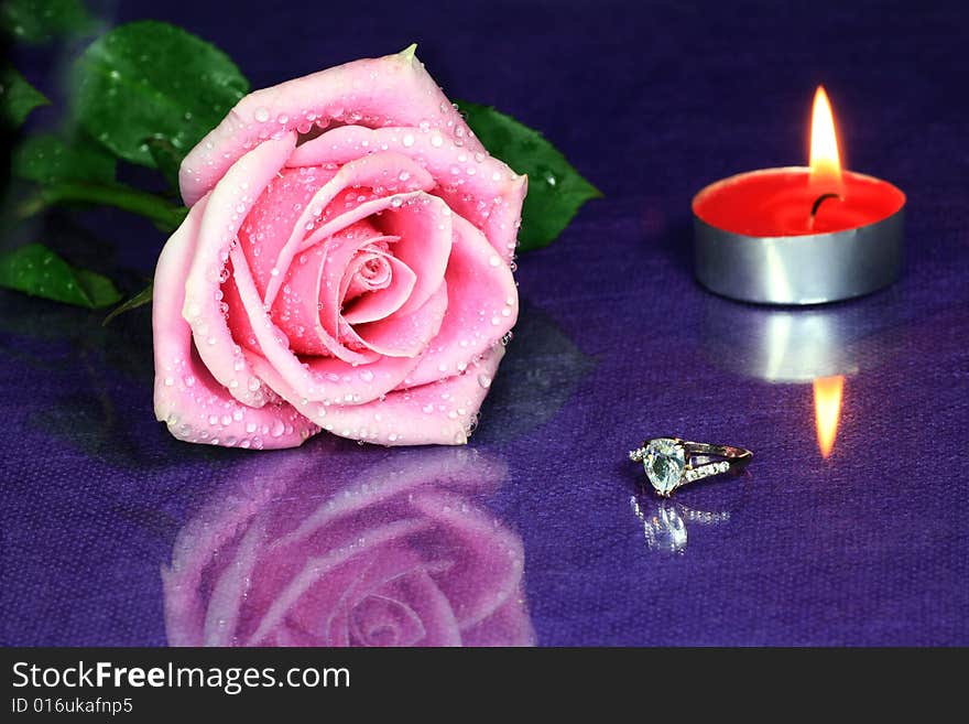 Rose with Diamond Ring on Purple Background