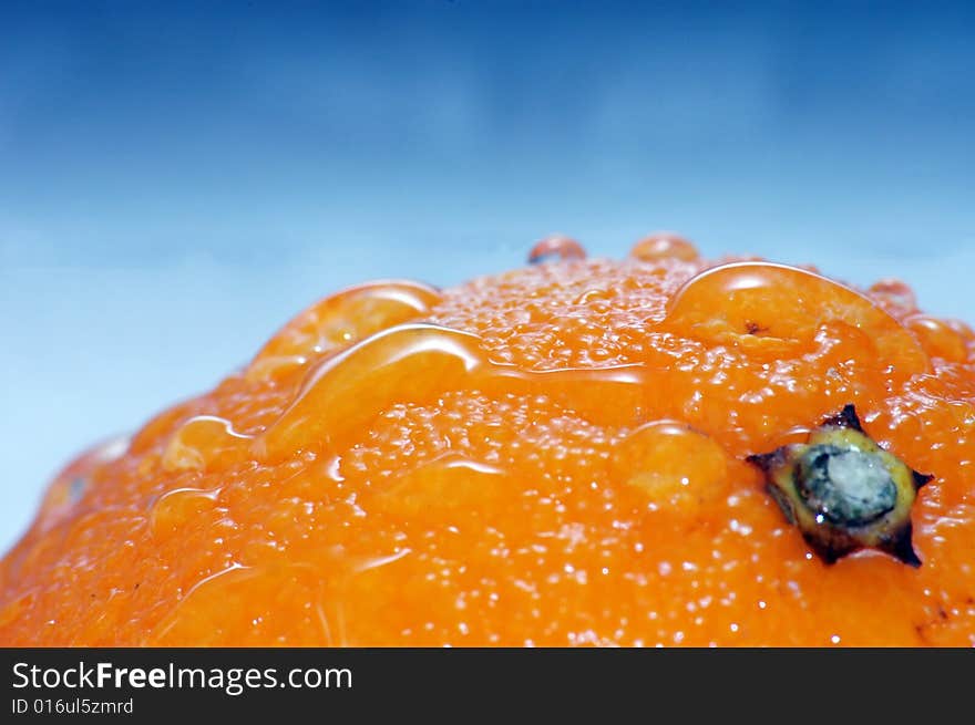 Macro shot of an orange