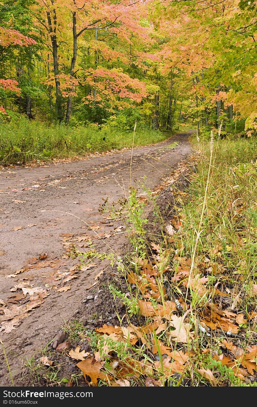 A narrow dirt road winding through the forest with fall colors in the leaves. A narrow dirt road winding through the forest with fall colors in the leaves.